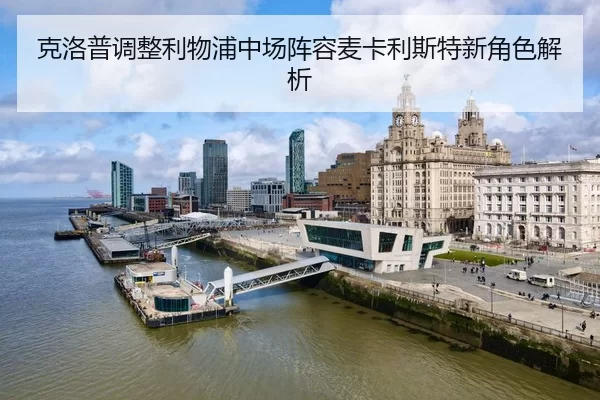 ke-luo-pu-tiao-zheng-li-wu-pu-zhong-chang-zhen-rong-mai-ka-li-si-te-xin-jue-se-jie-xi-1-806.jpg