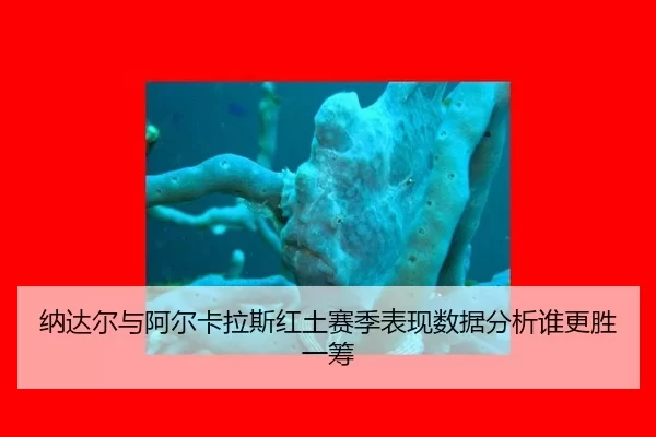 na-da-er-yu-a-er-ka-la-si-hong-tu-sai-ji-biao-xian-shu-ju-fen-xi-shui-geng-sheng-yi-chou-2-578.jpg